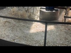 Bột gelatin loại dược phẩm từ nguồn bò với cường độ Gel 160-280