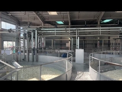 Bột gelatin loại dược phẩm để sản xuất viên nang mềm